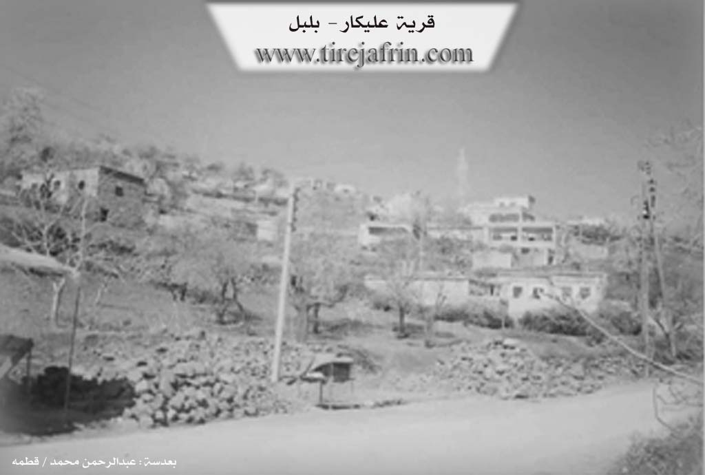 Photo of Eli Kera